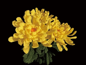 Chrysanthemum[1]